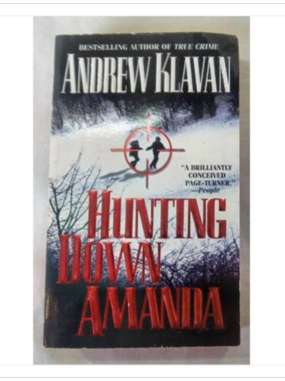 Hunting Down Amanda Crime Thriller Pocket Books PB